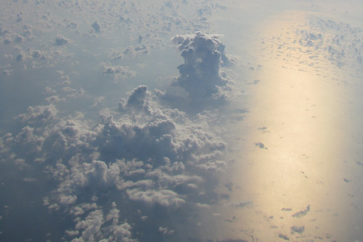 611557 (a): :2446x1630